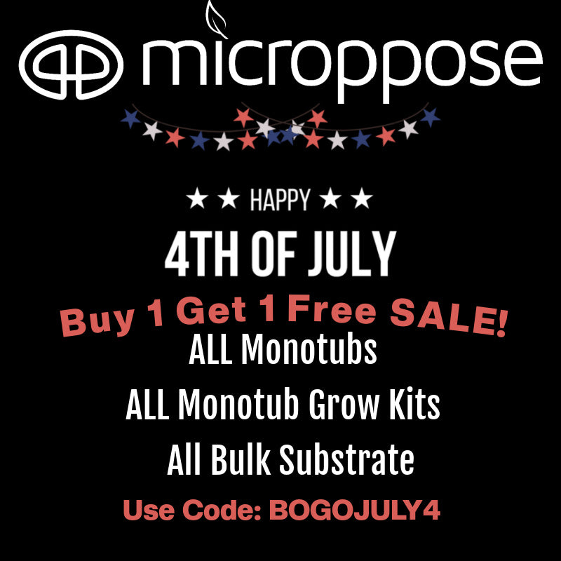 Buy One Get One Free July 4th Sale!