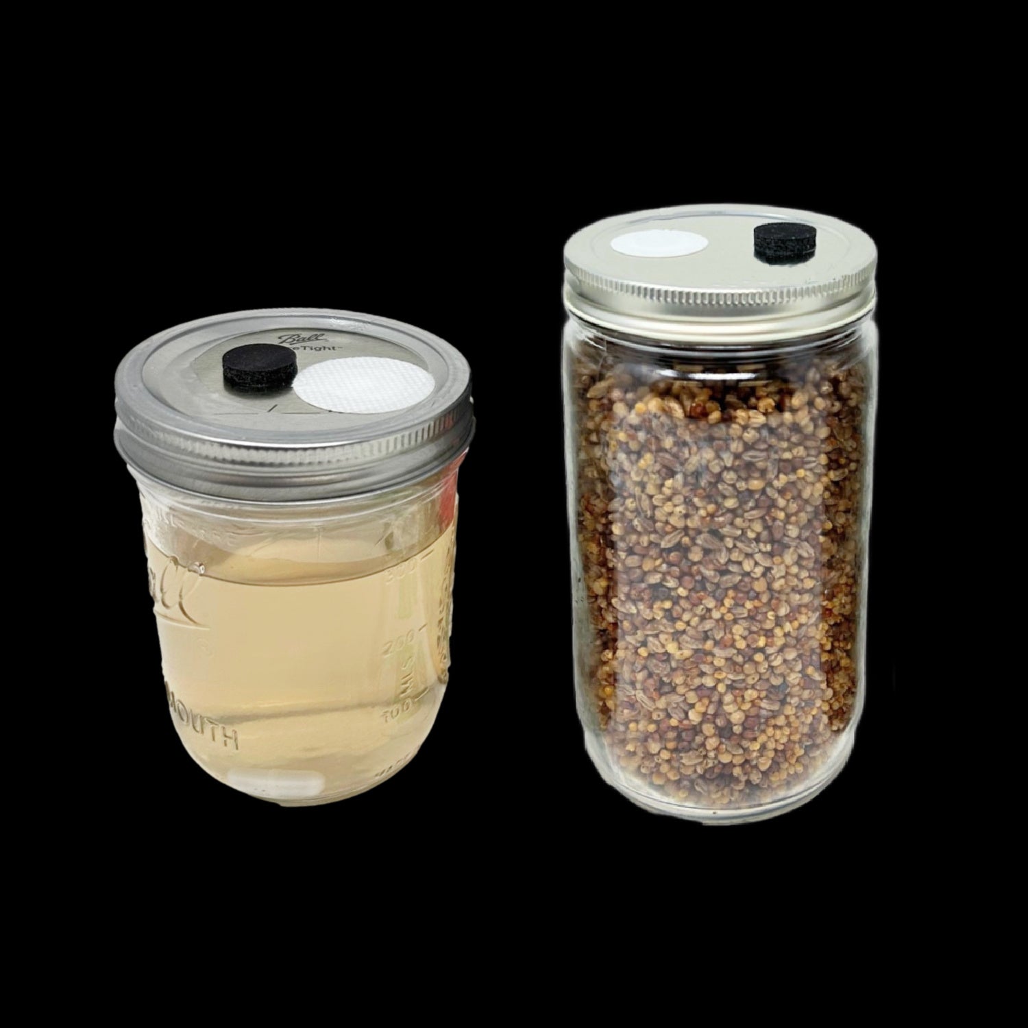 LARGE Adherable Lid Filters For Plant & Mushroom Tissue Culture (28mm)