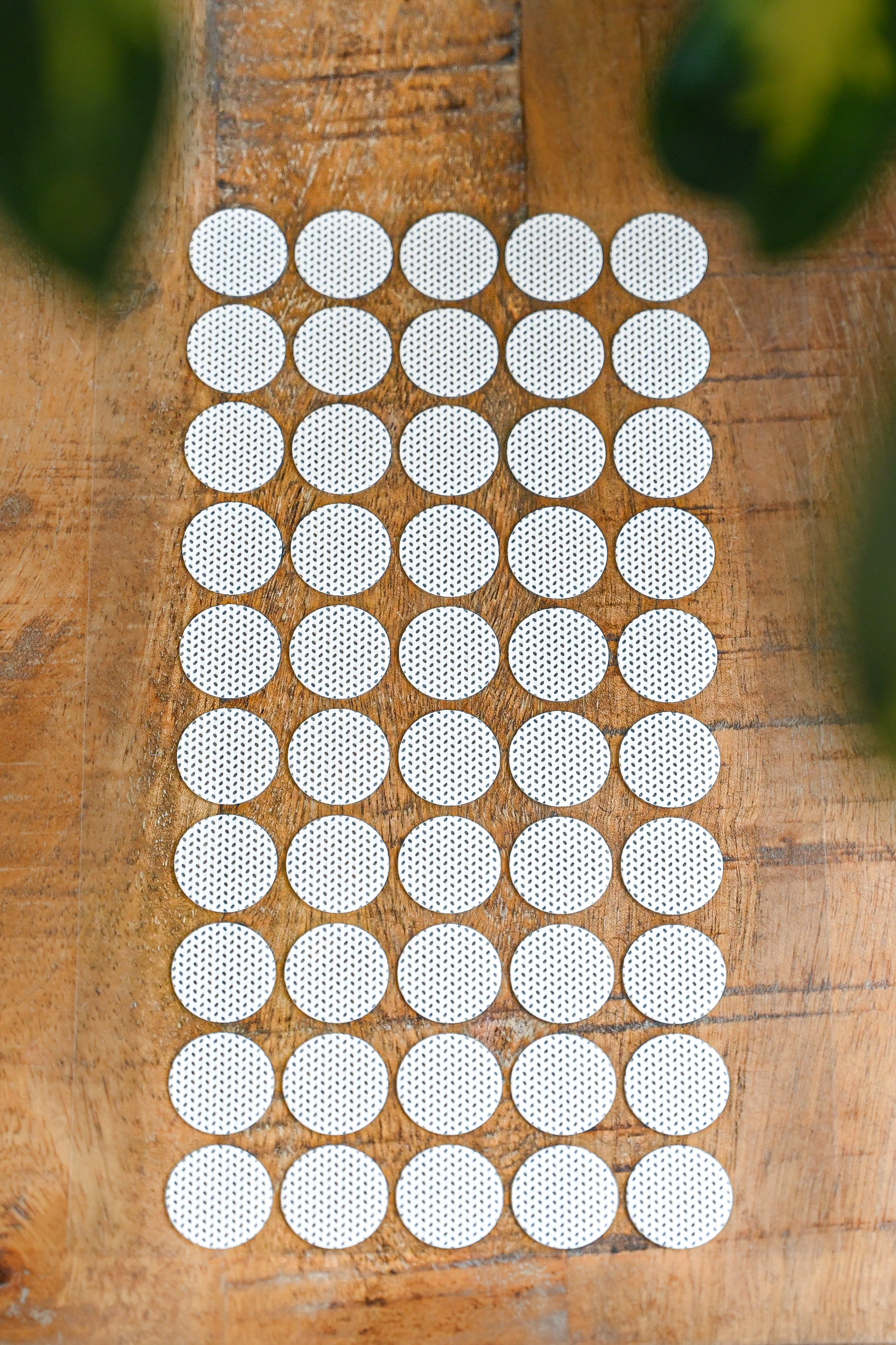 Adherable Lid Filters For Plant & Mushroom Tissue Culture