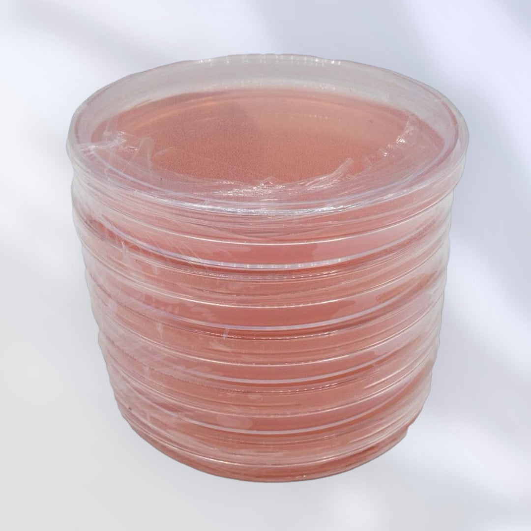 Premium Sterilized Malt Extract Agar Plates - 5 Pack
