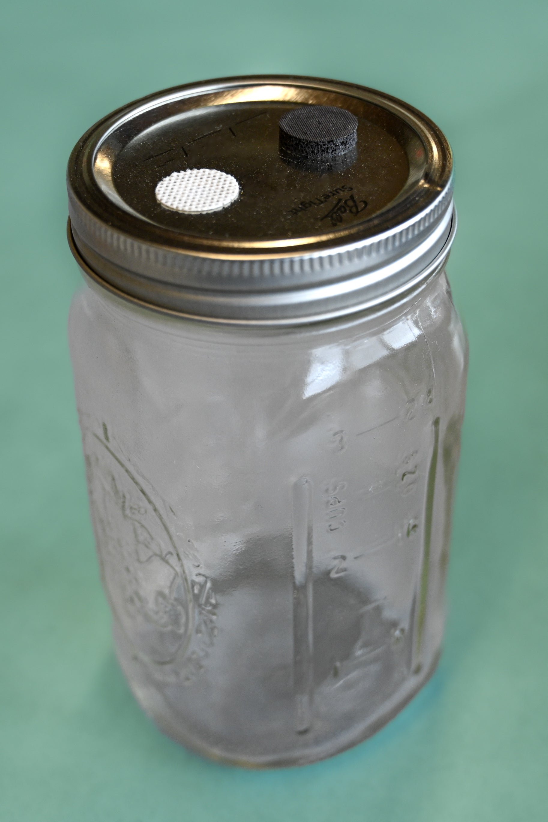 Adherable Lid Filters For Plant & Mushroom Tissue Culture