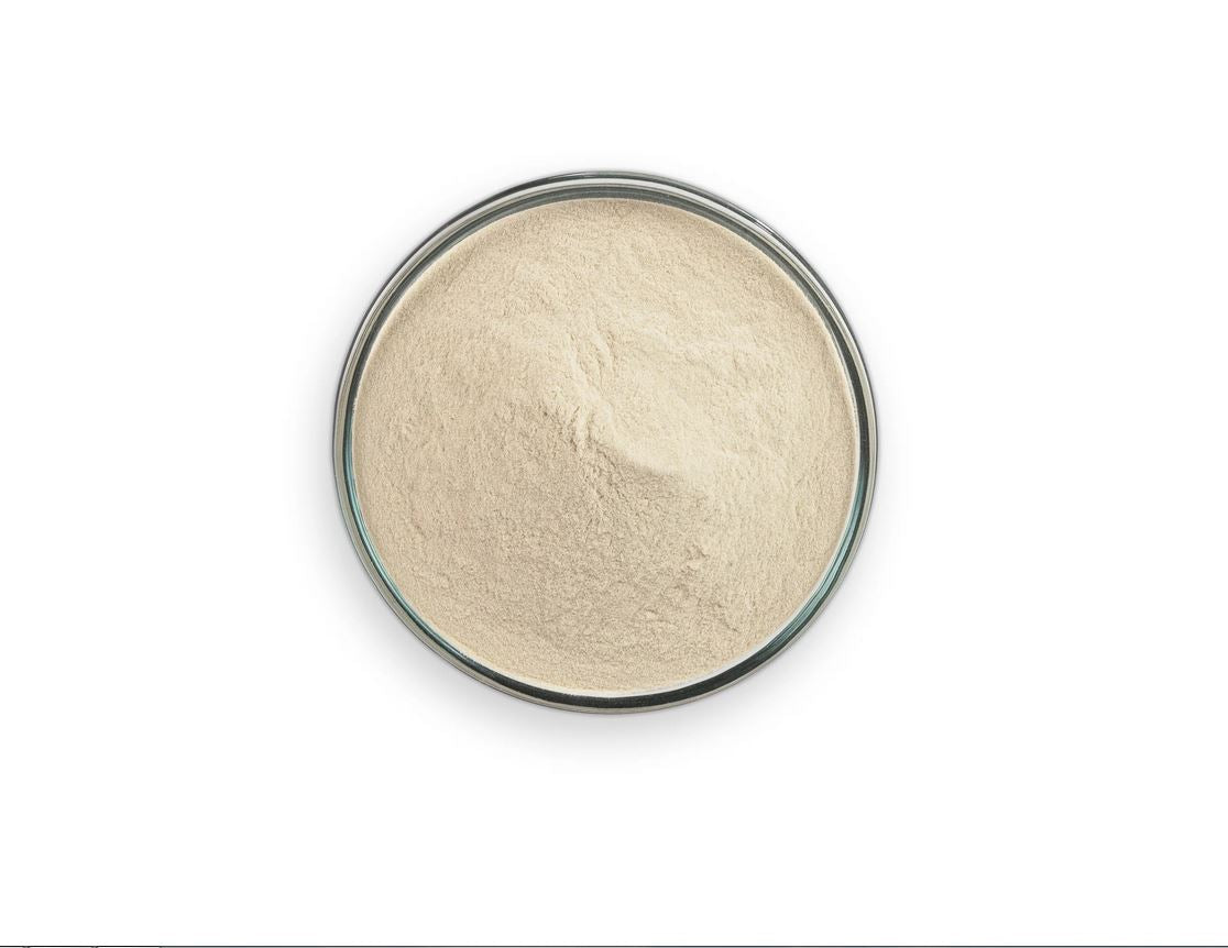 Premium AGAR AGAR Powder 100% Pure High Strength Powder (1 LB)