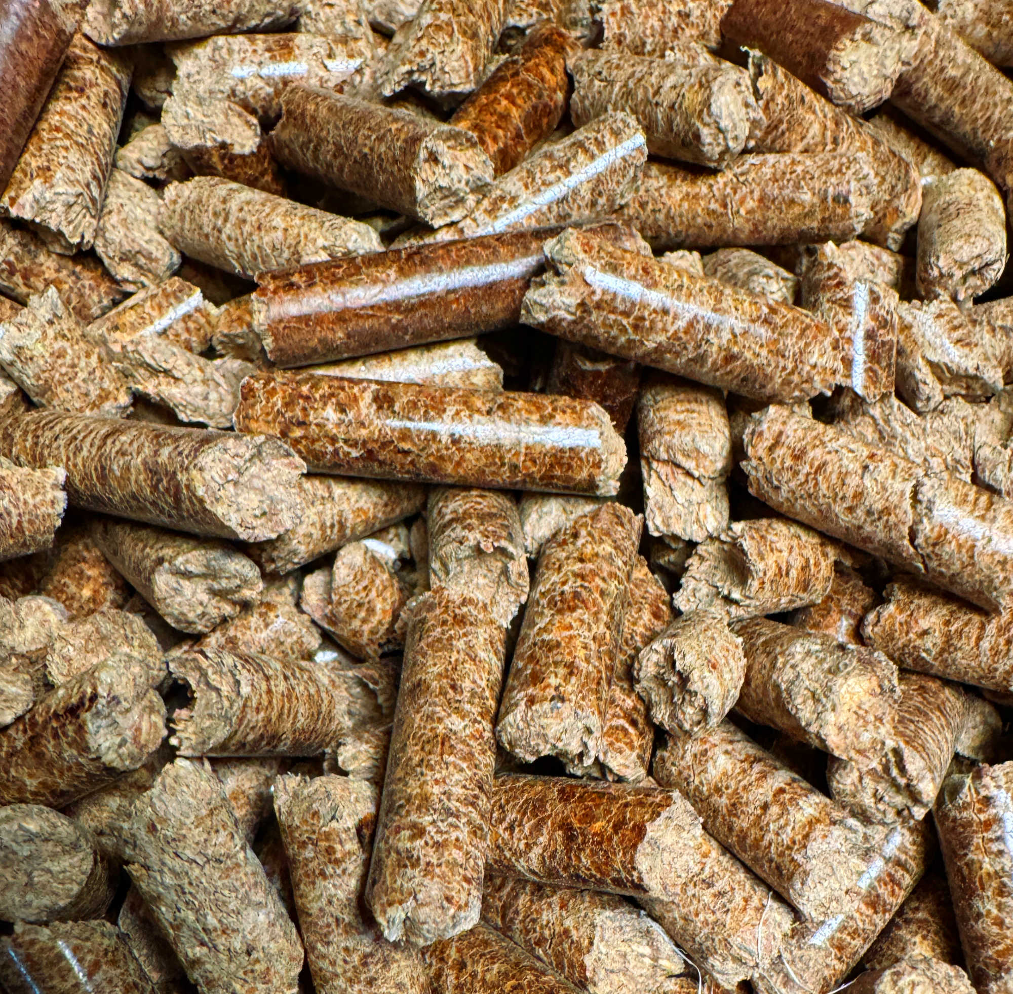 BambooPro™ Renewable Bamboo Pellets -  Universal Mushroom Substrate